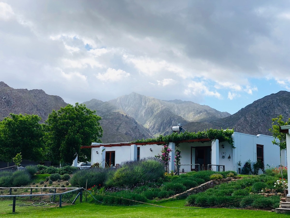 Alpaca Inn below the Klein Karoo mountains